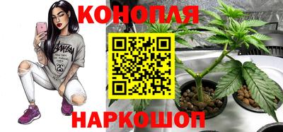 каннабис Брянск
