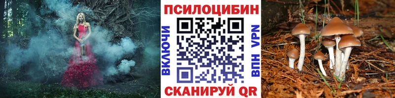Галлюциногенные грибы Psilocybe  что такое наркотик  Борзя 