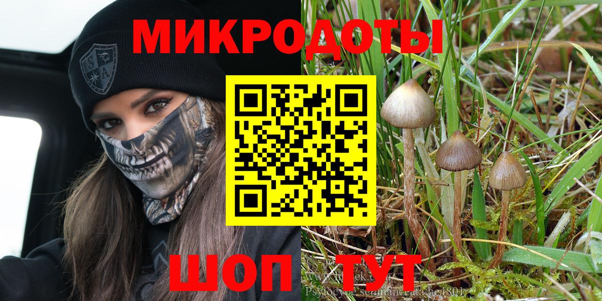 Псилоцибиновые грибы ЛСД  Вход с VPN  Борзя 